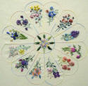 Brazilian Embroidery Pattern Dresden Plate